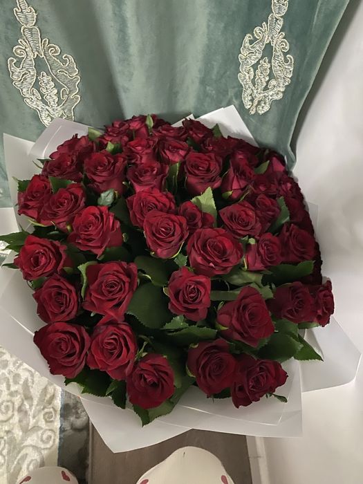 красные розы 51 штук