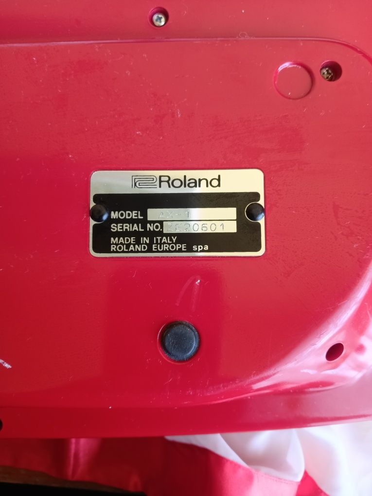 Roland ax 1 an Stare Buna