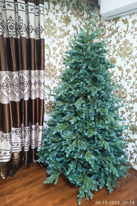 Ёлка люкс. Голубая ель.  Импорт для Европы.  Бесплатная доставка.
