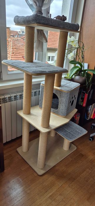 Котешка катерушка