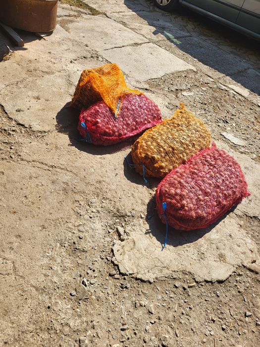 Vand nuci producție 2025