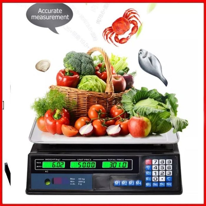 CANTAR Electronic PLATFORMA Engross Casa Magazin 40 kg ,350 kg