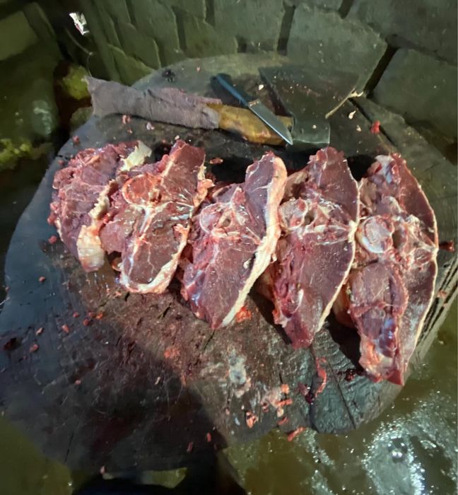 Согым жылкы ети