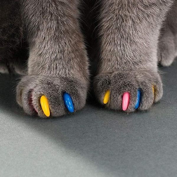 Протектори за котешки нокти. Размери M, S в различни цветове. (Котки)