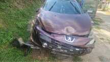 Vand Peugeot 206
