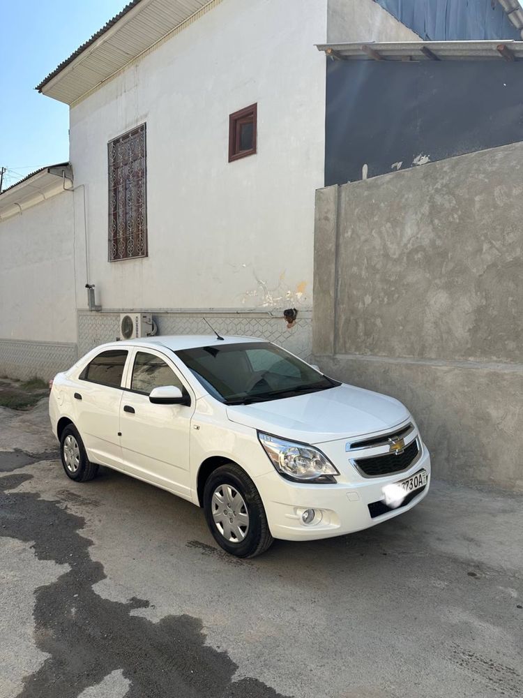 Cobalt 2pazitsa 2019