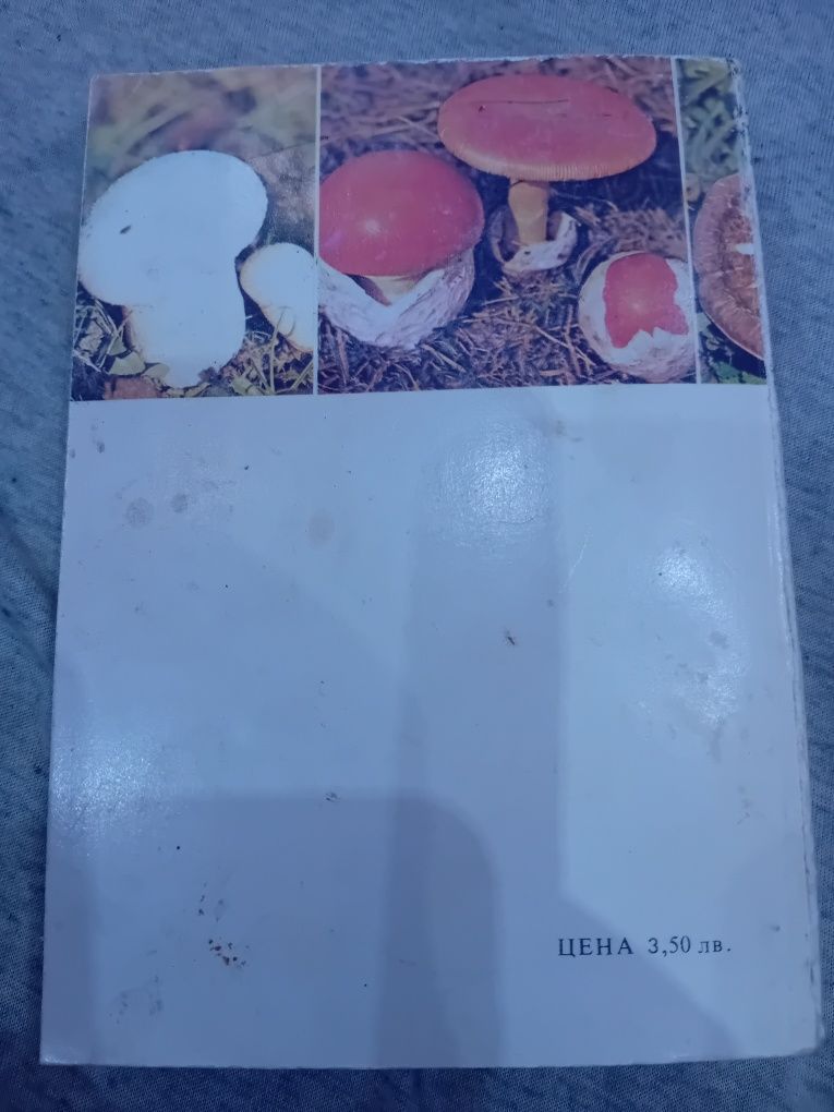 Книга нашите гъби