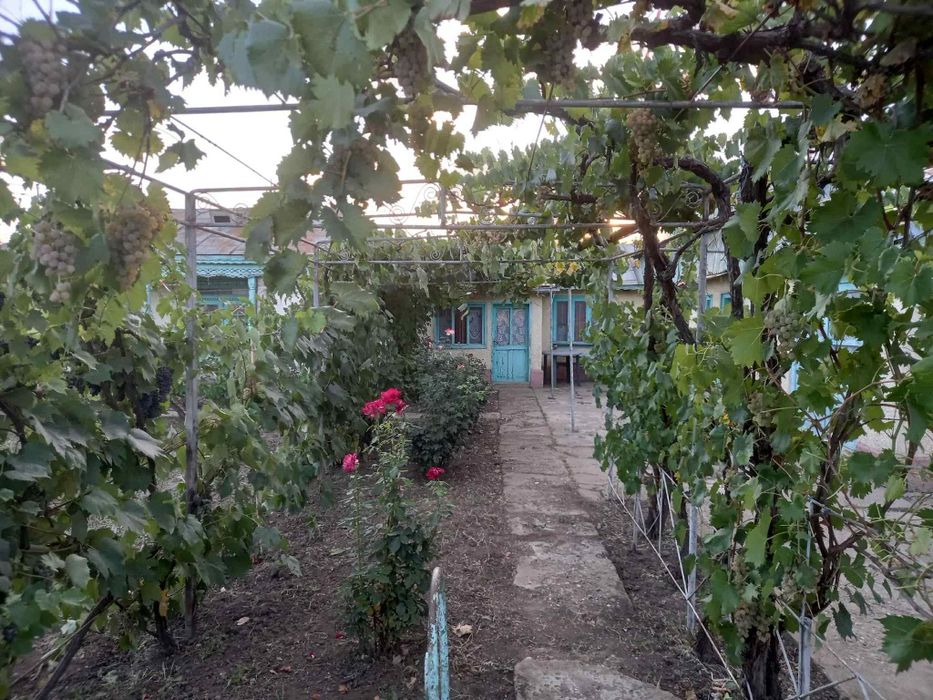 Casa batraneasca de vanzare Tudor Vladimirescu
