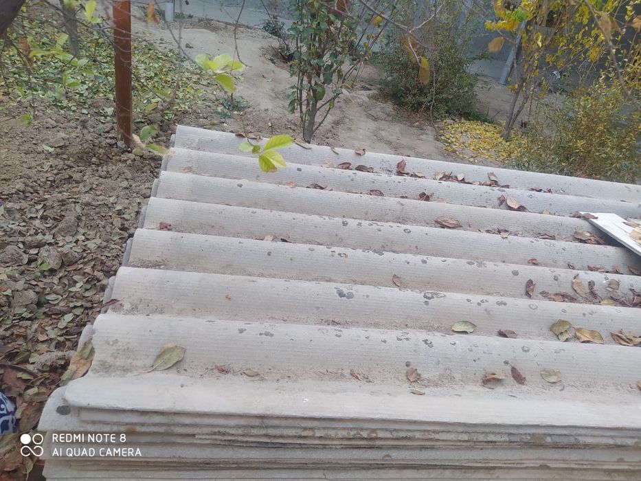 Шипр. Холати яхши