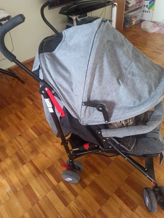 Детская коляска трость