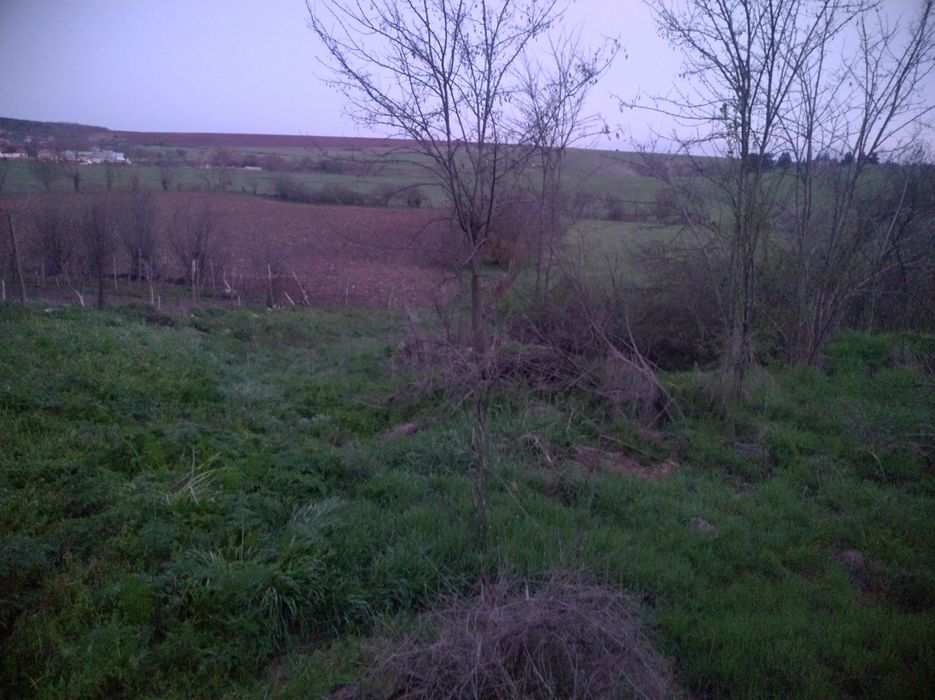 Продава се Парцел в с. Разделна, Област Варна - 1100 кв.м за 10 €/кв.м - Снимка #10