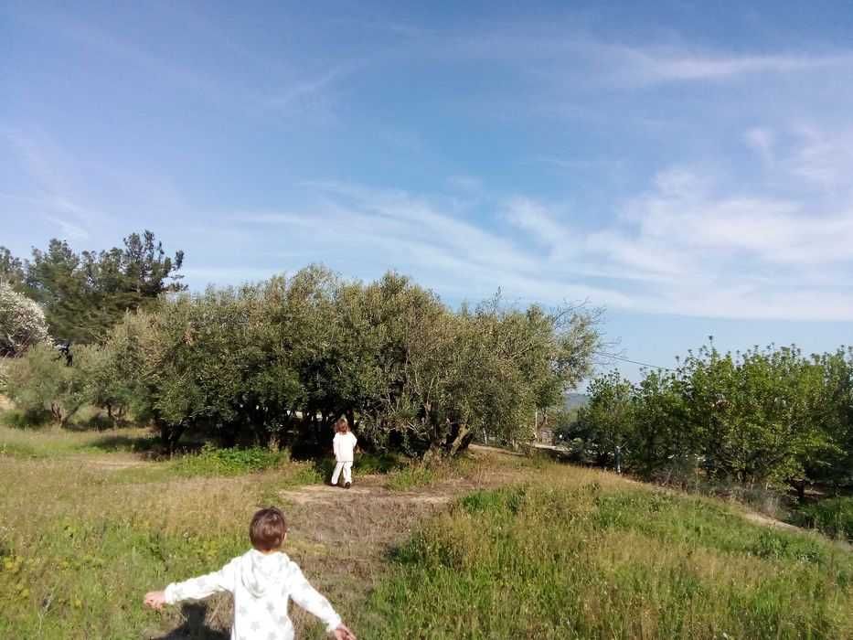 Парцел в с. Офринио, обл. Кавала . Регулация. 390 кв.м. 50000 е
