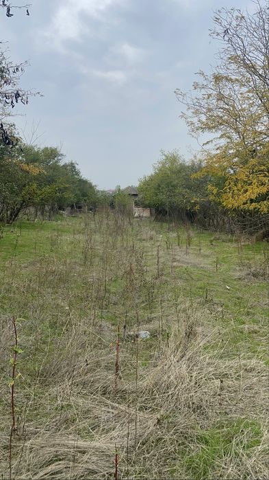 Casa veche + teren 3600m2 langa balta eligibila pentru Fonduri Europen