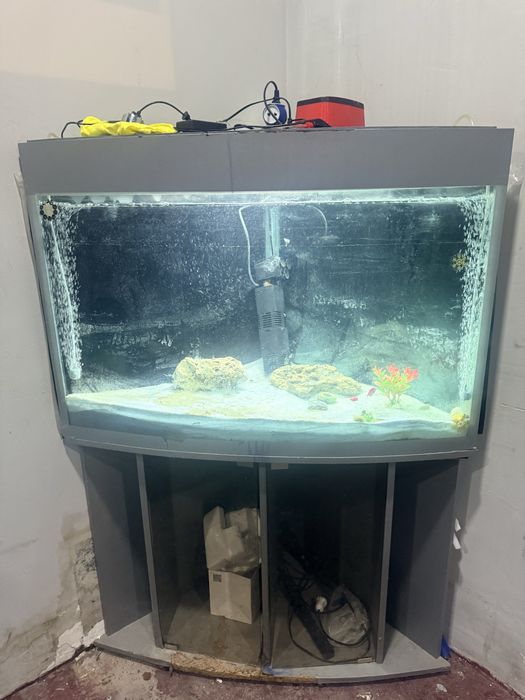 akvaryum obmen 250 litr