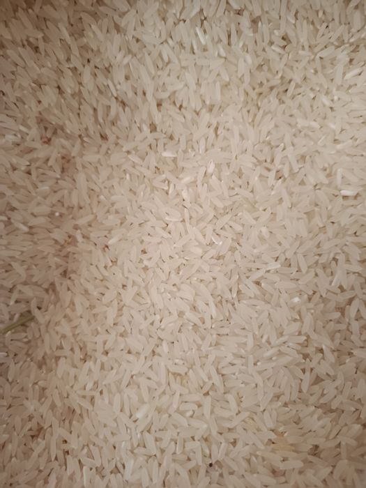 Guruch lazer xorazim 14500 dan kilosi asal xorazimki kolosi 100