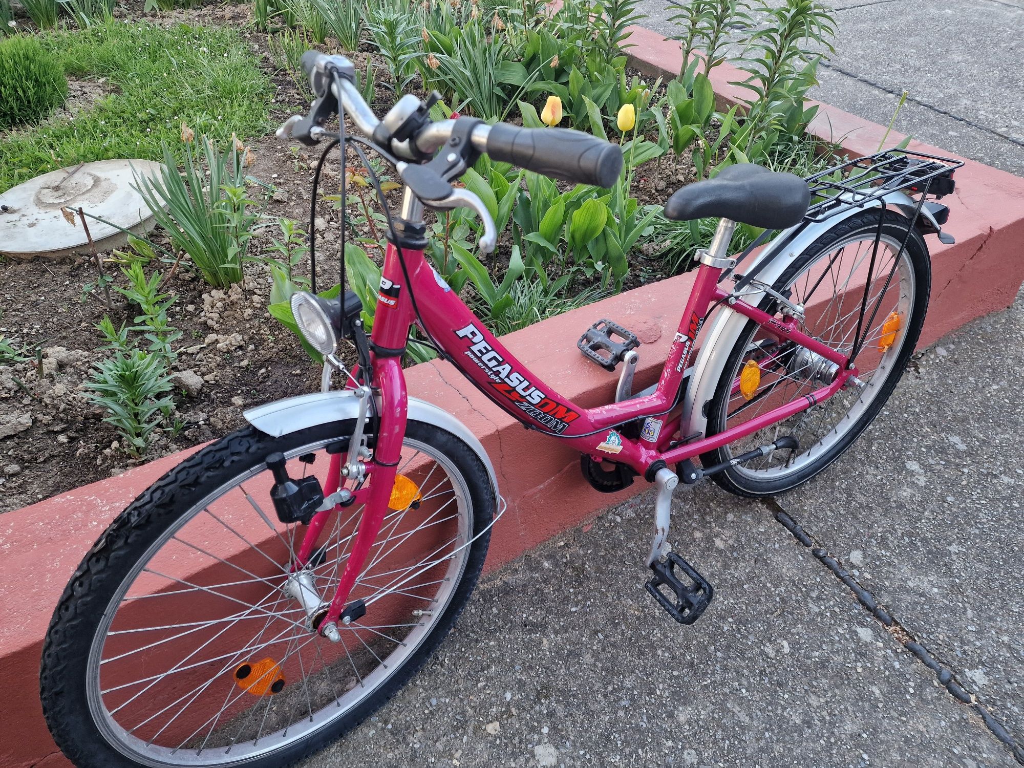 Bicicleta pegasus