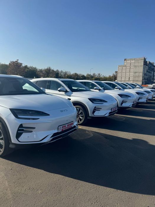 BYD chempion 2025/26