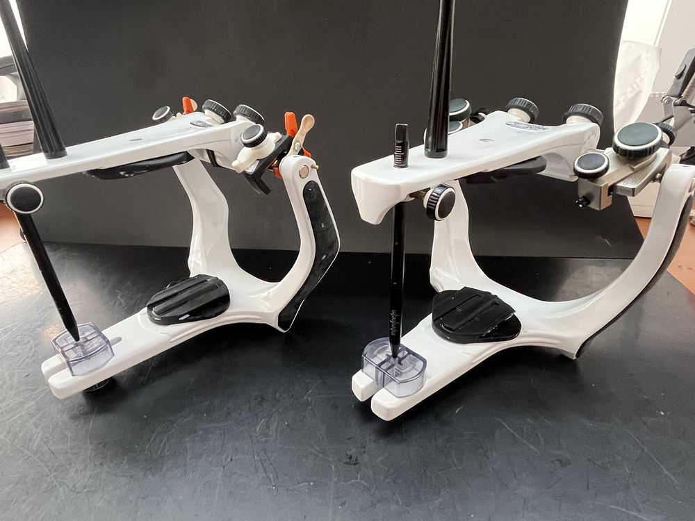 Articulator Bioart