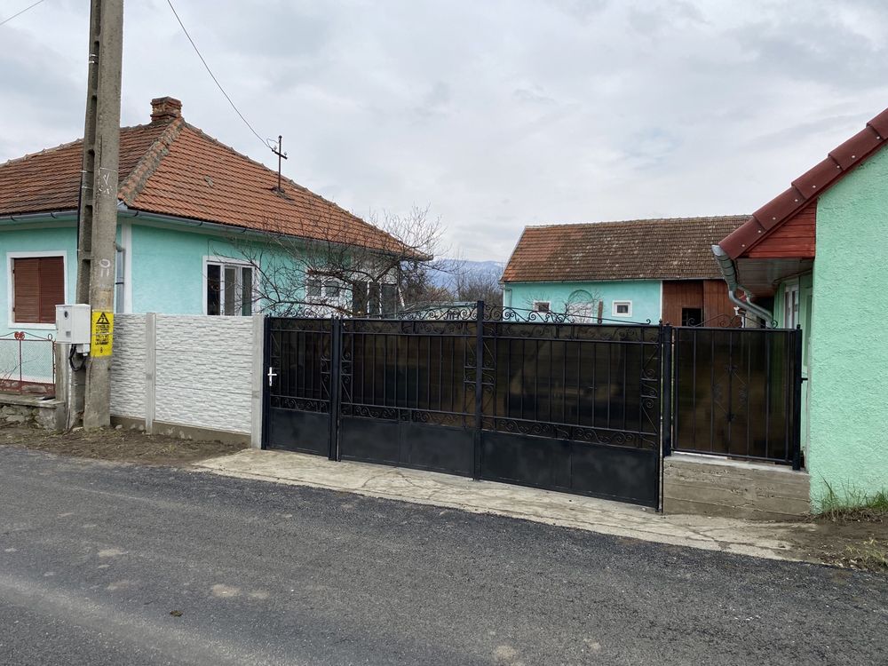 Vand casa + grădină