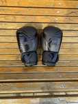 Manusi box/kickbox venum 12 oz