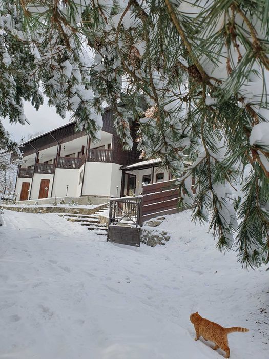 Cabana de inchiriat pentru Craciun