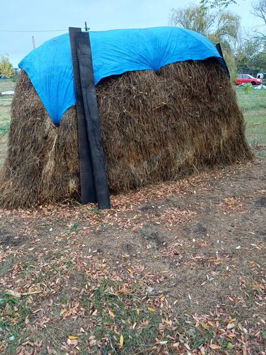 Vând fân pentru animale