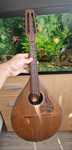 Mandolina Antoine Di Mauro 1950 Vintage