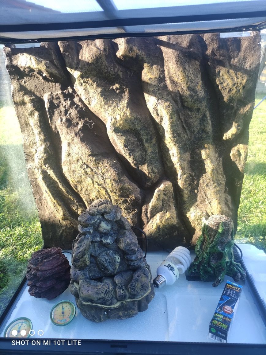 Terariu  reptile