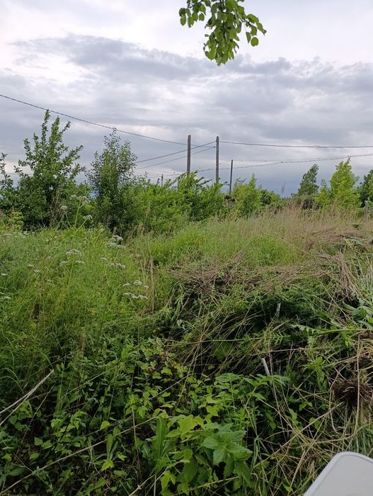 Продам дачу  в городе