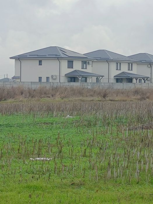 Teren de vânzare com Berceni Mamina