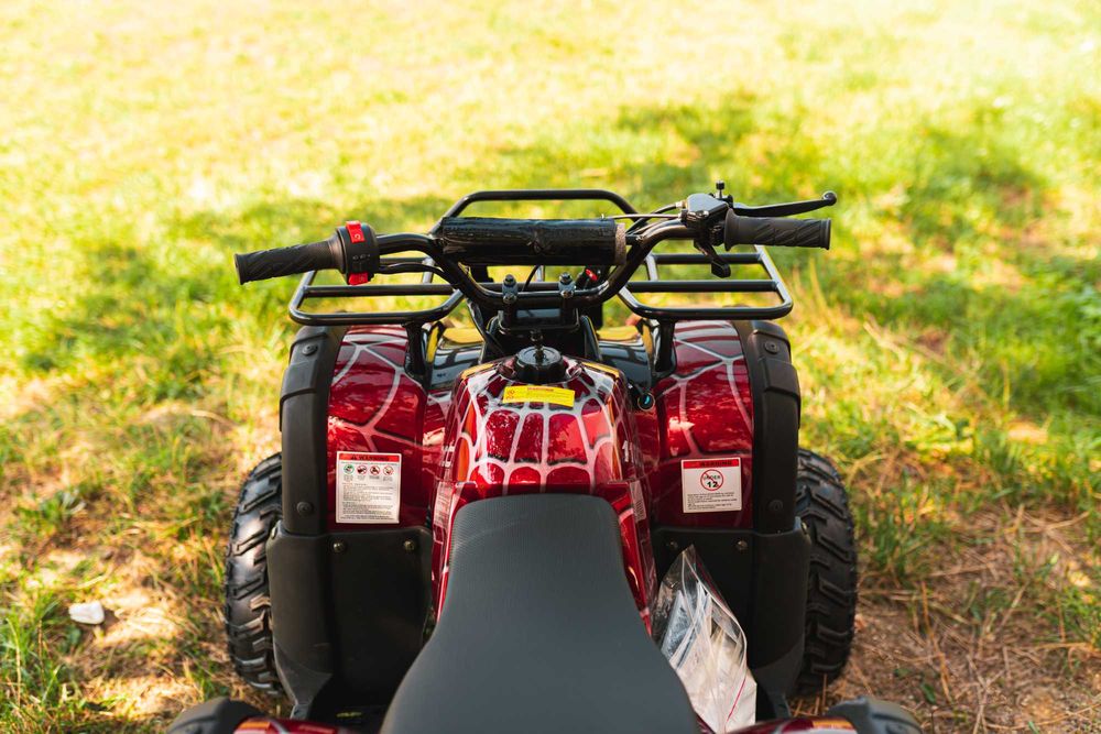 Oferta De Sarbatori Atv 110cc Model Hummer Rg7-Nou Garantie