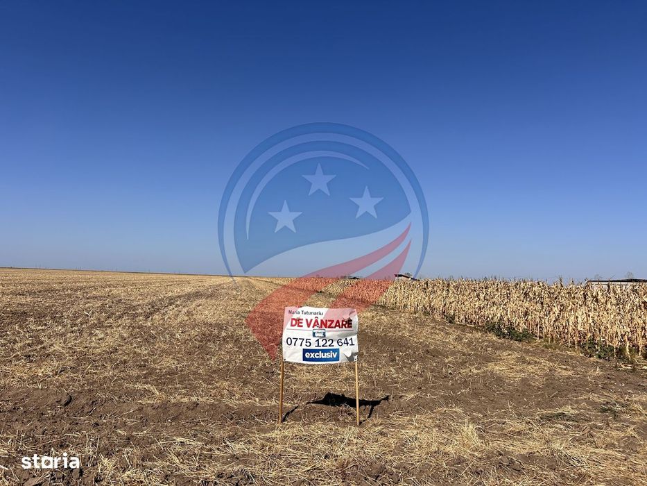 Teren intravilan de vanzare in Pielesti