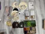 Lot materiale licheni