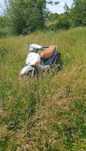 Vând scuter Piaggio Liberty 49cc
