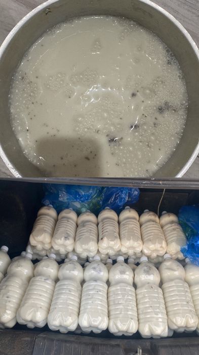 Свежий кымыз Жана-Арка