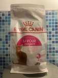 Mâncare pisici Royal Canin Senior Ageing 12+ și Exigent pungi sigilate