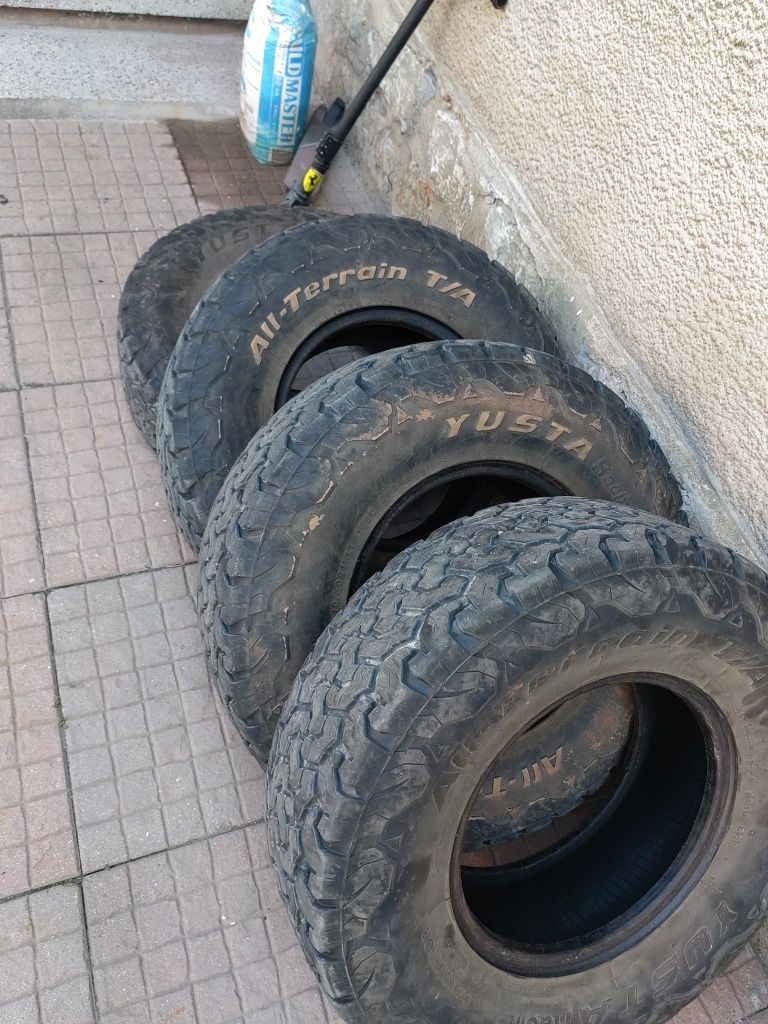 31×10,5/15 180лв