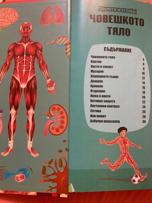 Книга макет - човешкото тяло