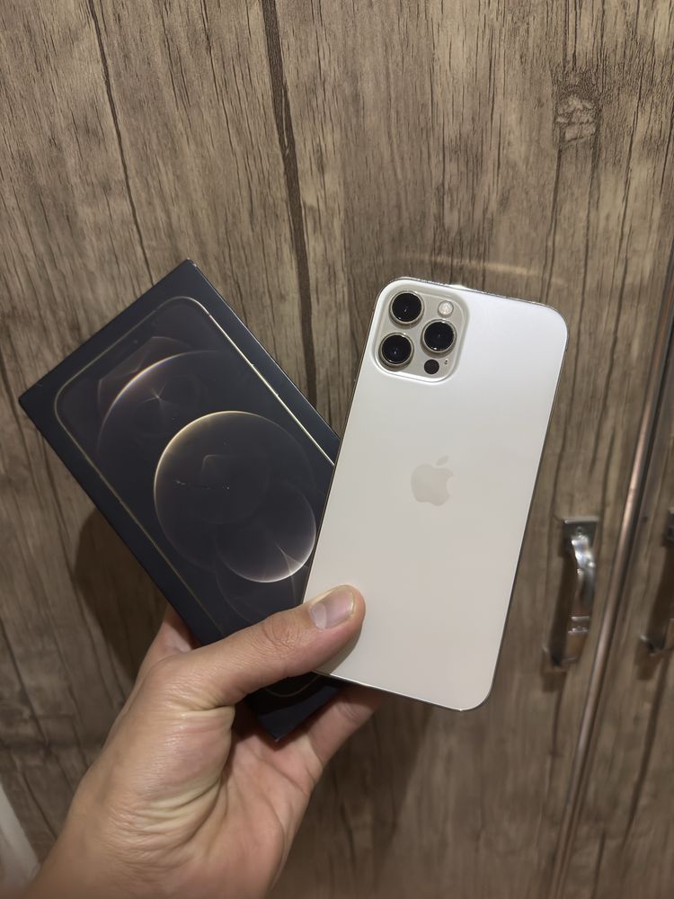 Iphone 12 pro max