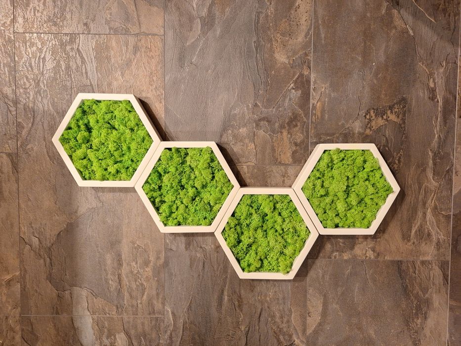 Декоративни пана със Скандинавски мъх