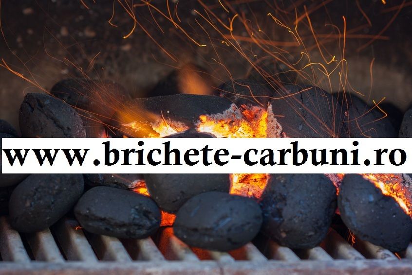 Brichete din cocs petrolier premium.Pret tona cu tva