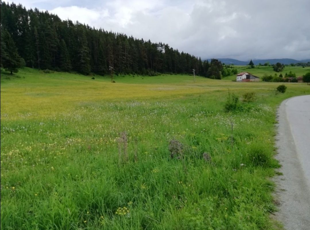 Продава се Парцел в с. Маджаре, Област София-област - 2500 кв.м за 31 €/кв.м - Снимка #2