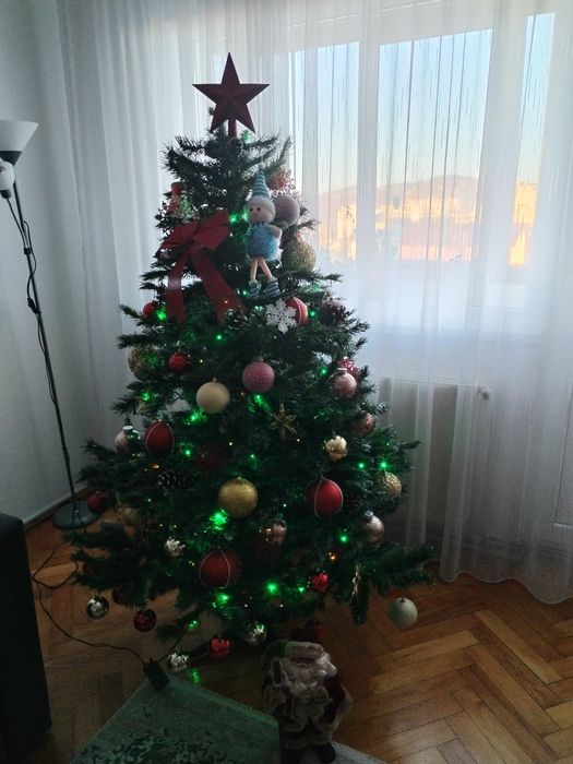 Vând brad în stare foarte bună.