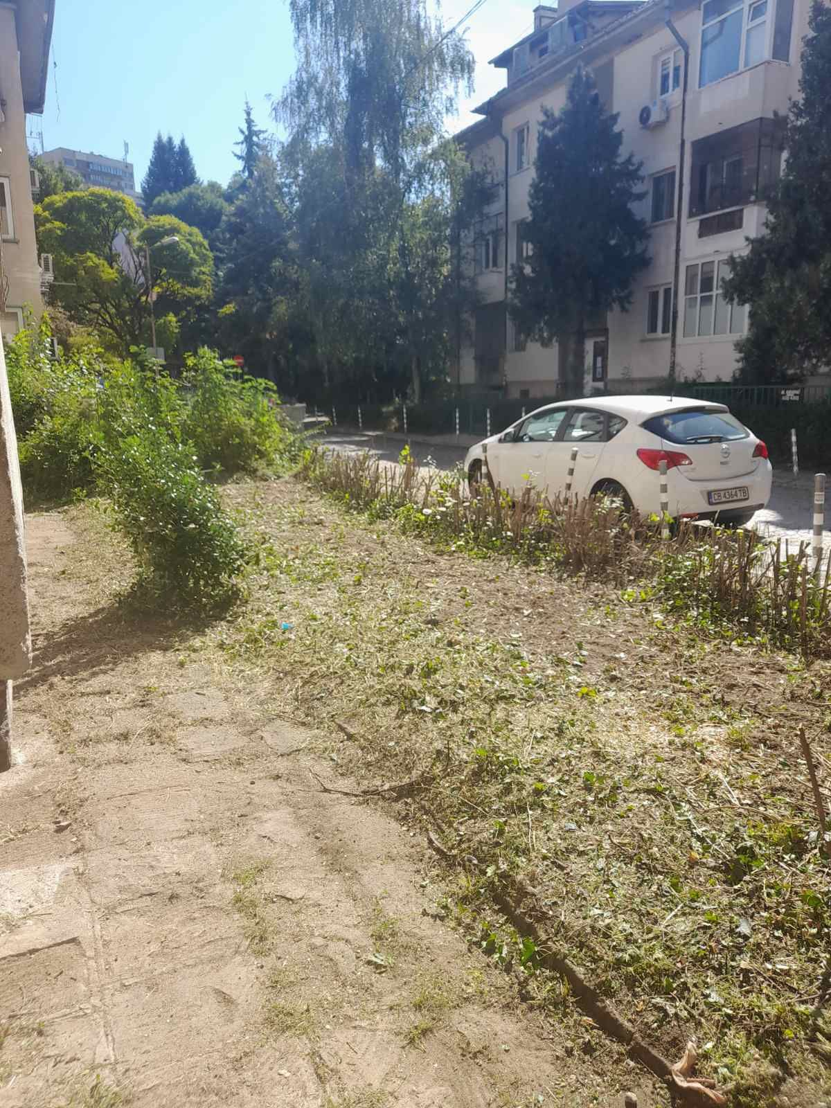 Почистване на парцели дворове Косене на трева рязане на опасни дървета