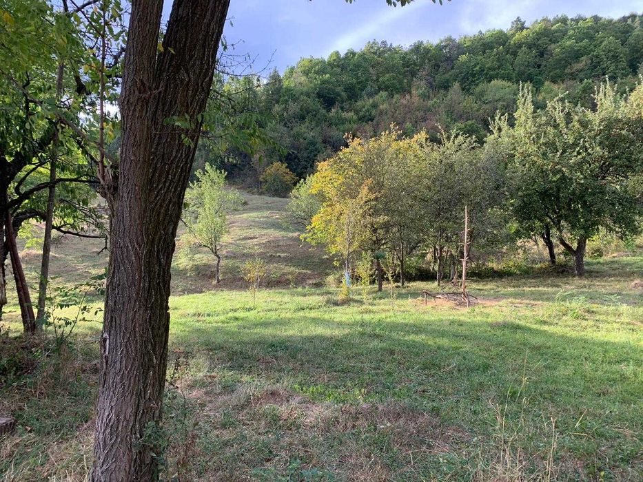 Vand teren zona Nehoiu , Basca Rozaliei , Vinetisu