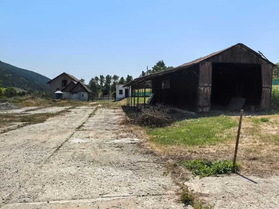 Vand\ Inchiriez hale, 2000 mp cu CF intravilan