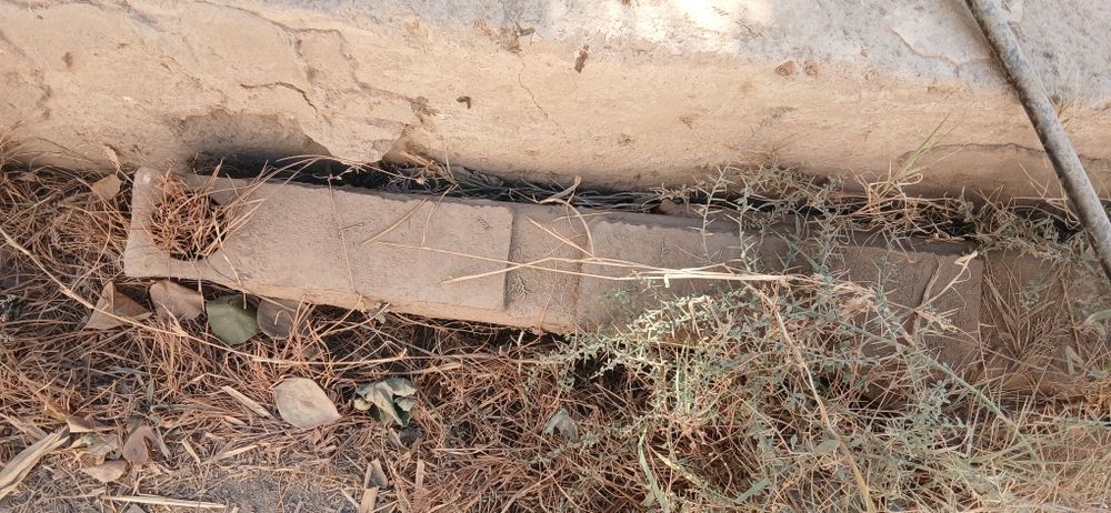 Yaguar 850 orga perdok