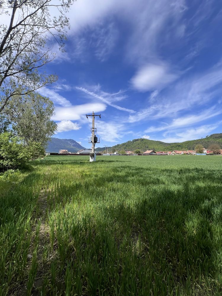 Teren intravilan Zarnesti/Brasov