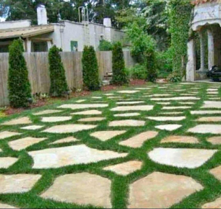 Rulouri de gazon Plante ornamentale