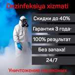 Dezinfeksiya klop klapa tarkan burga chayon ilon Дезинфекция Q6